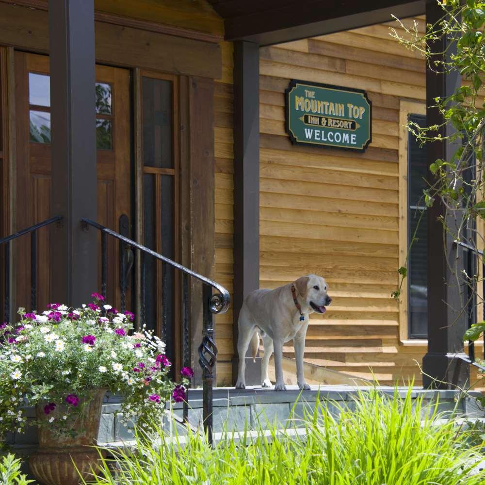 The Mountain Top Inn & Resort Chittenden Ausstattung foto